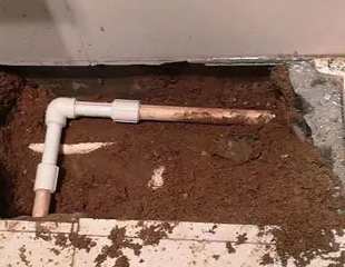 江城测漏水哪家好